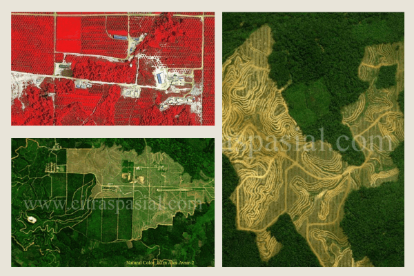 Jual Citra Satelit Bidang Pertanian dan Perkebunan